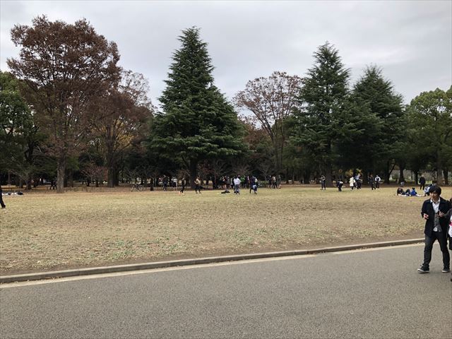 代々木公園ヨガをやっている